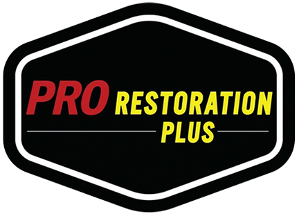 Pro Restoration Plus of NC Logo